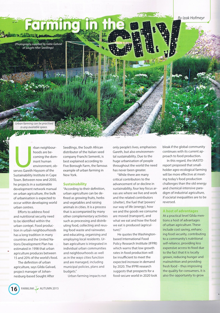 Urban Farming | Farmlink Africa | Sought After Seedlings