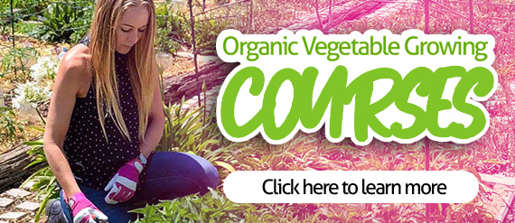 organic-courses